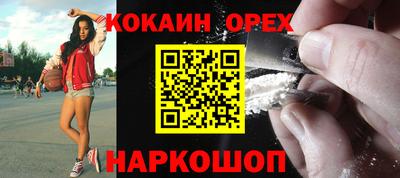 дмт Сланцы