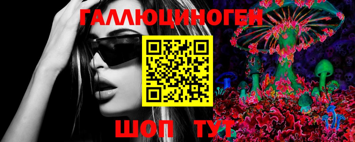 Псилоцибиновые грибы мухоморы  Галлюциногенные грибы ЛСД  Черногорск  закладка  Вход с VPN 